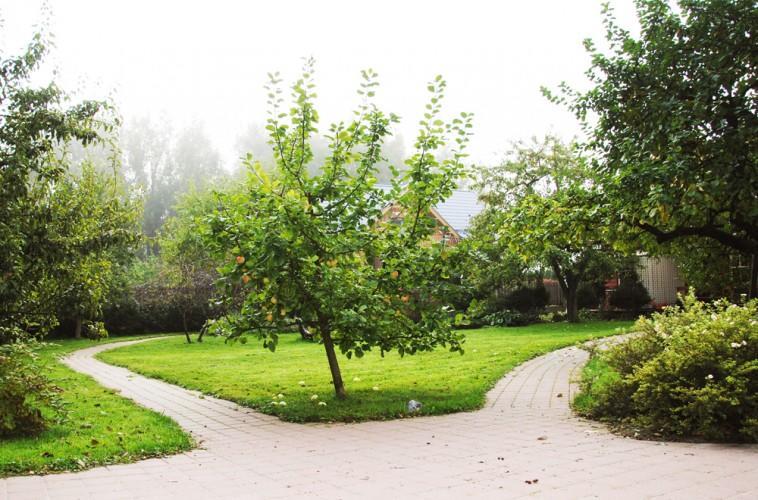 Apartamentai Obelyne بالانغا المظهر الخارجي الصورة